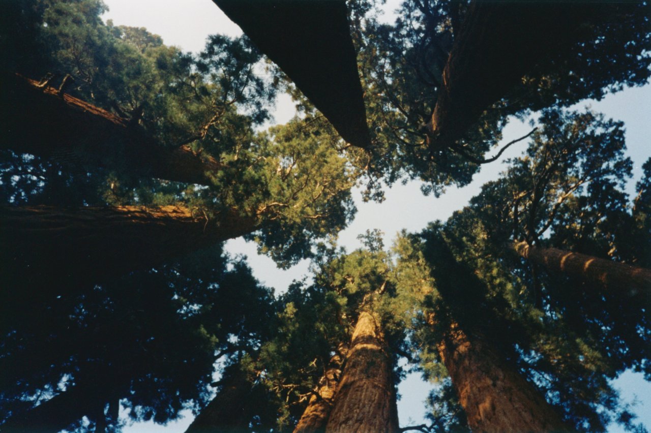 AMJD at Yosemite Dec 2002 7